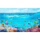 Tile mural with tropical fish and coral reef in the blue ocean